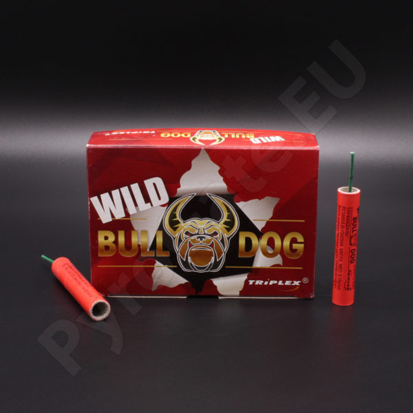 FireCracker Wild Bull Dog